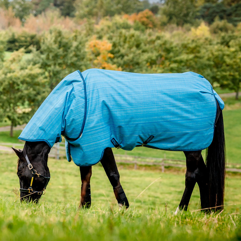 Horseware Amigo Hero 900 Revive Plus Turnout Rug - Ocean Blue/Navy/Electric Blue-1
